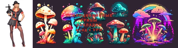 прущие грибы Алзамай