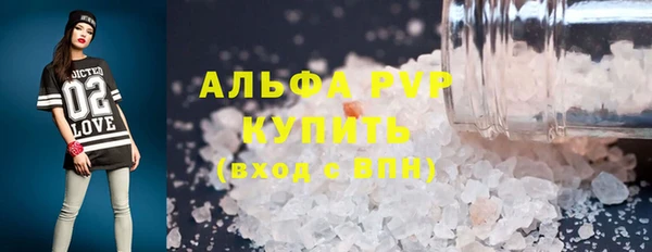 прущие грибы Алзамай