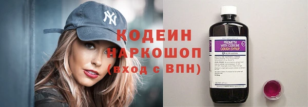 прущие грибы Алзамай